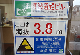 ʐ^FÔgr